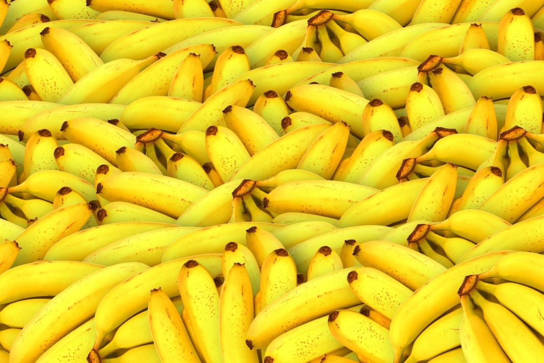 banana potássio