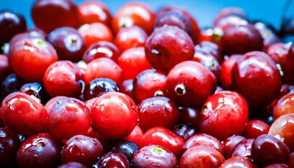 Berries. Airela (Cranberry)