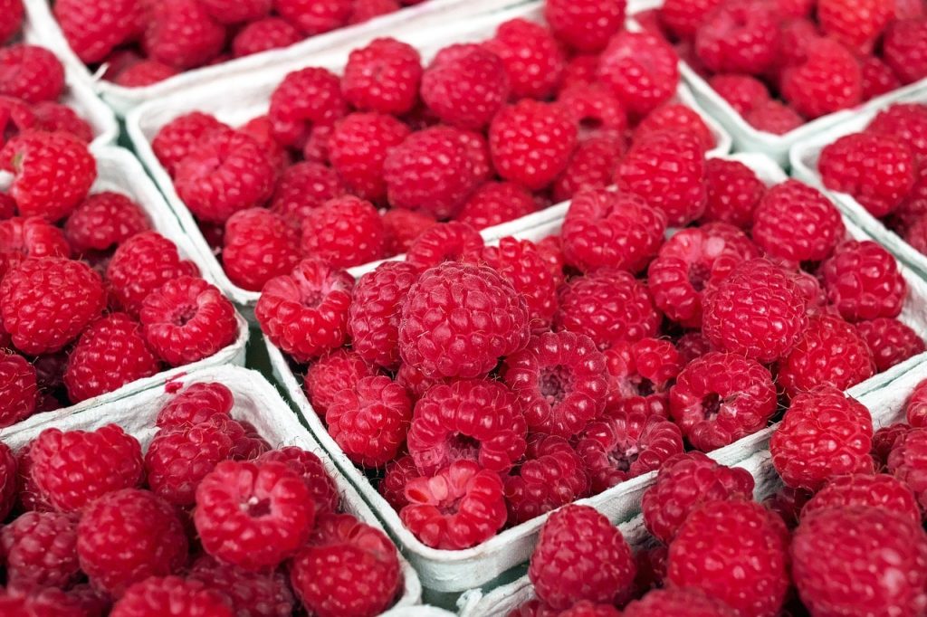 Frutas Vermelhas. Framboesa (Raspberries)