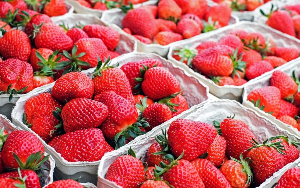 Frutas Vermelhas. Morango (Strawberry).